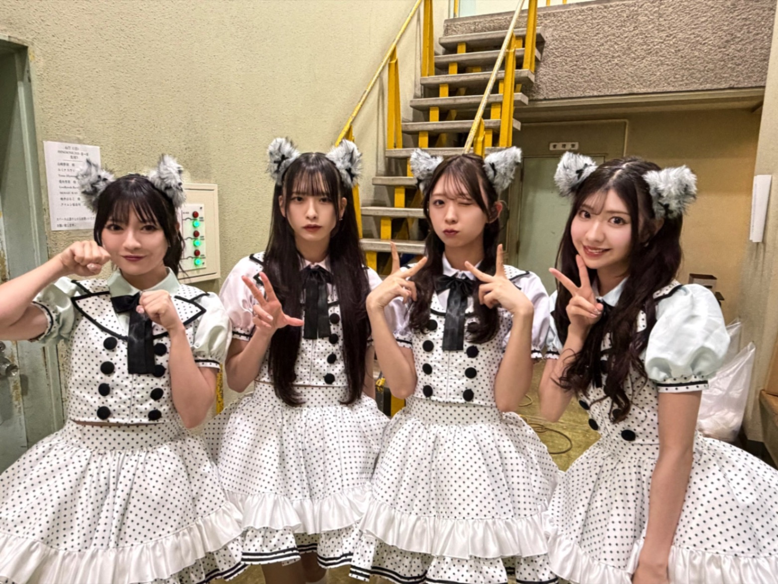 #HNGSONIC 2026 春→夏